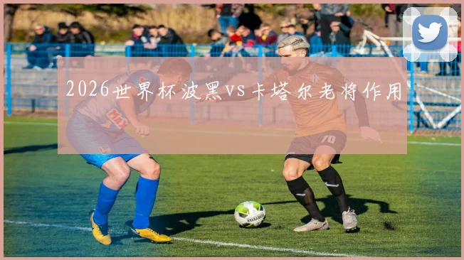 2026世界杯波黑vs卡塔尔老将作用