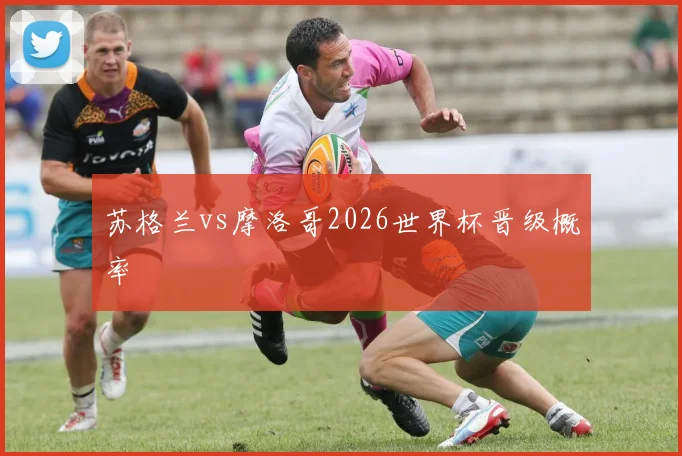 苏格兰vs摩洛哥2026世界杯晋级概率
