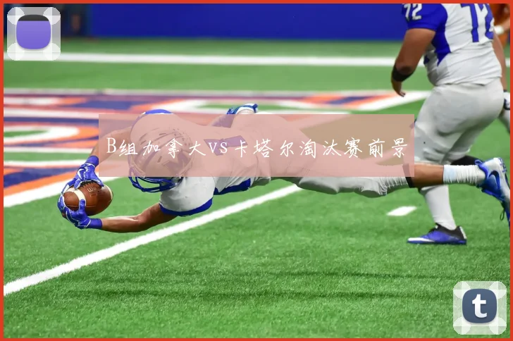 B组加拿大vs卡塔尔淘汰赛前景