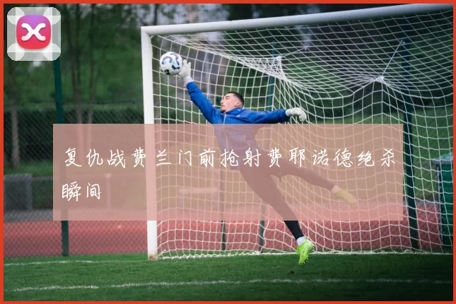 复仇战费兰门前抢射费耶诺德绝杀瞬间