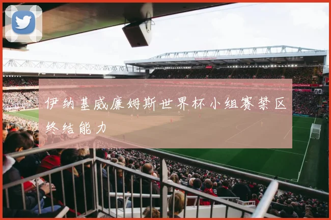 伊纳基威廉姆斯世界杯小组赛禁区终结能力