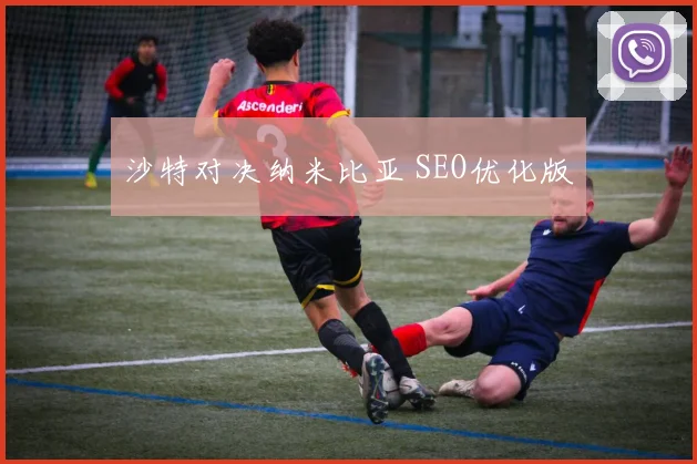 沙特对决纳米比亚 SEO优化版