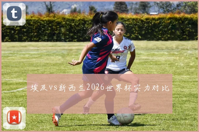 埃及vs新西兰2026世界杯实力对比