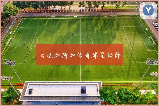 马达加斯加传奇球星助阵