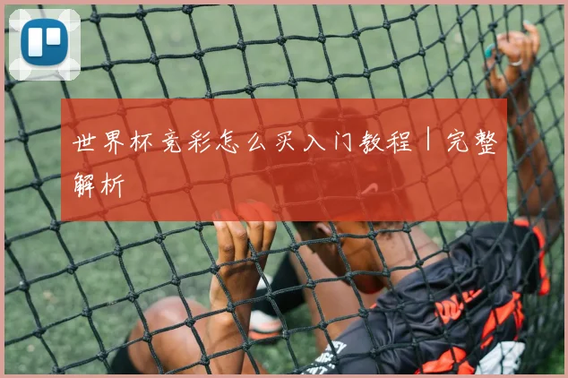 世界杯竞彩怎么买入门教程｜完整解析