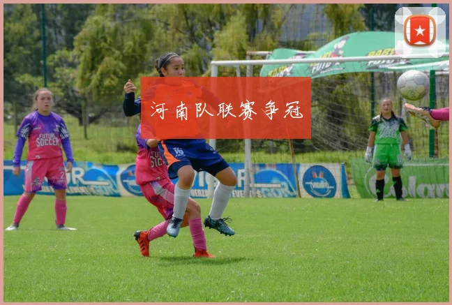 河南队联赛争冠