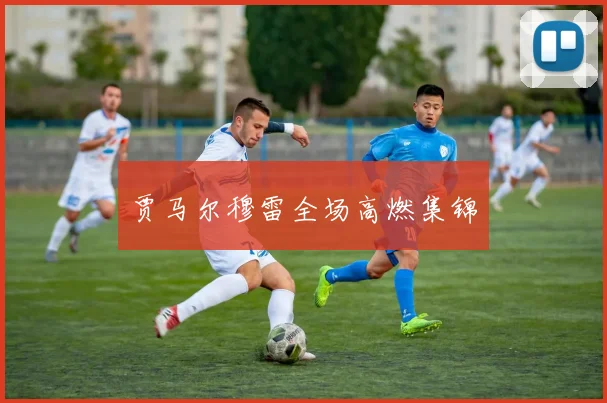 贾马尔穆雷全场高燃集锦