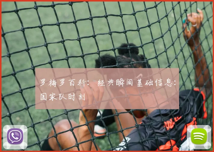 罗梅罗百科:经典瞬间基础信息:国家队时刻