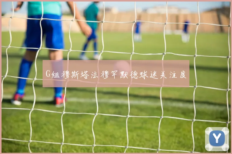 G组穆斯塔法穆罕默德球迷关注度