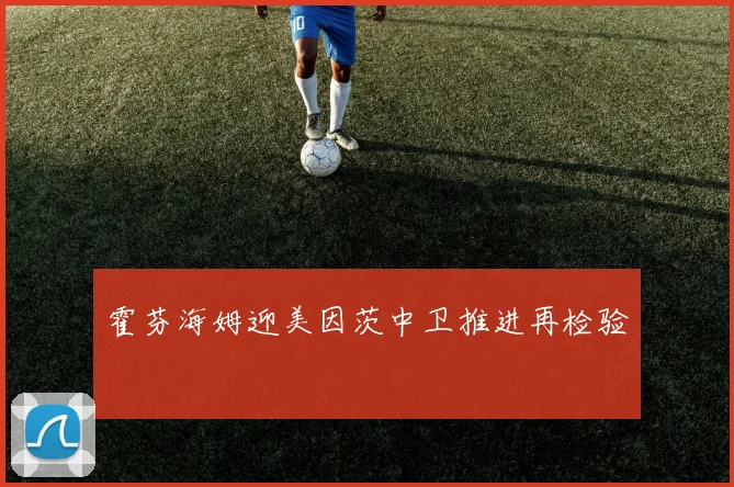 霍芬海姆迎美因茨中卫推进再检验
