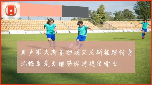 库卢塞夫斯基迎战突尼斯接球转身流畅度是否能够保持稳定输出